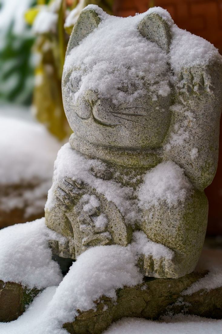 Stone cat statue dusted with snow