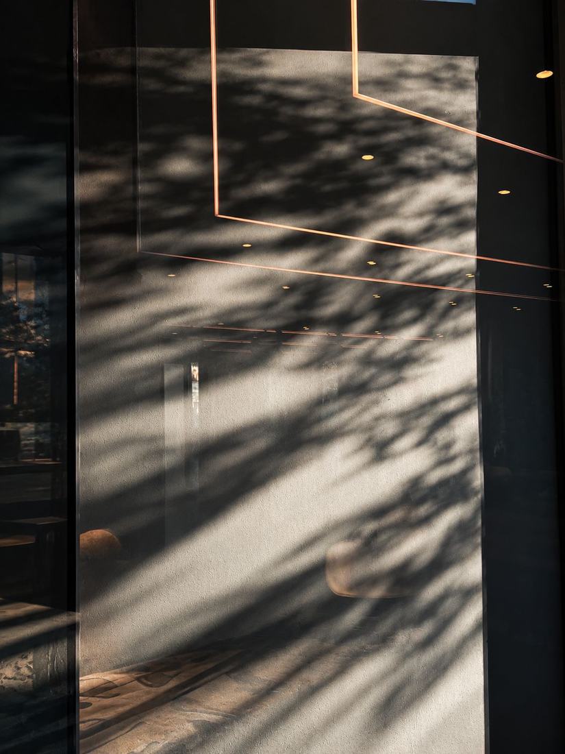 Leaf shadows falling across a window and interior