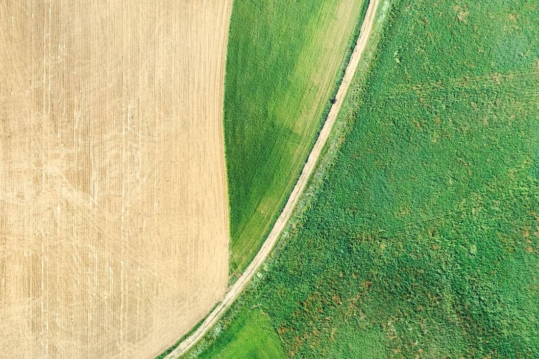 Top-down view of a dirt road curving between a wheat field and green crops