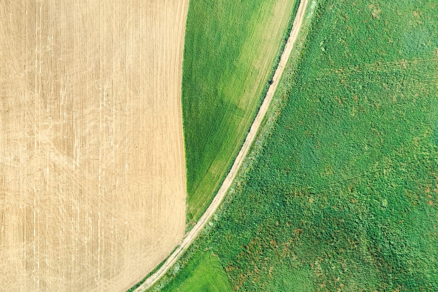 Top-down aerial of a dirt road curving between a wheat field and green crops