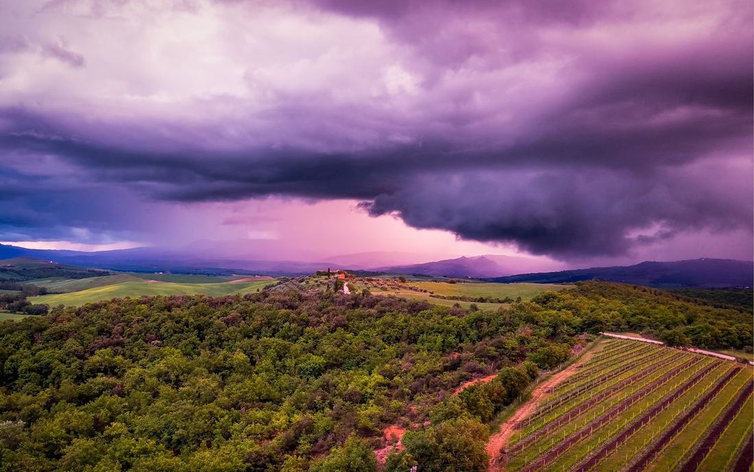 Purple storm clouds over wooded hills and a vineyard
